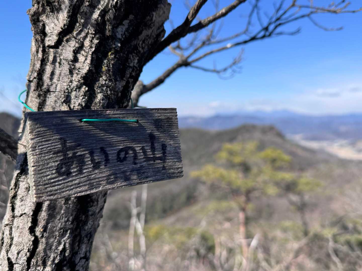大坊山-越床峠-妙義山 往復コースの写真