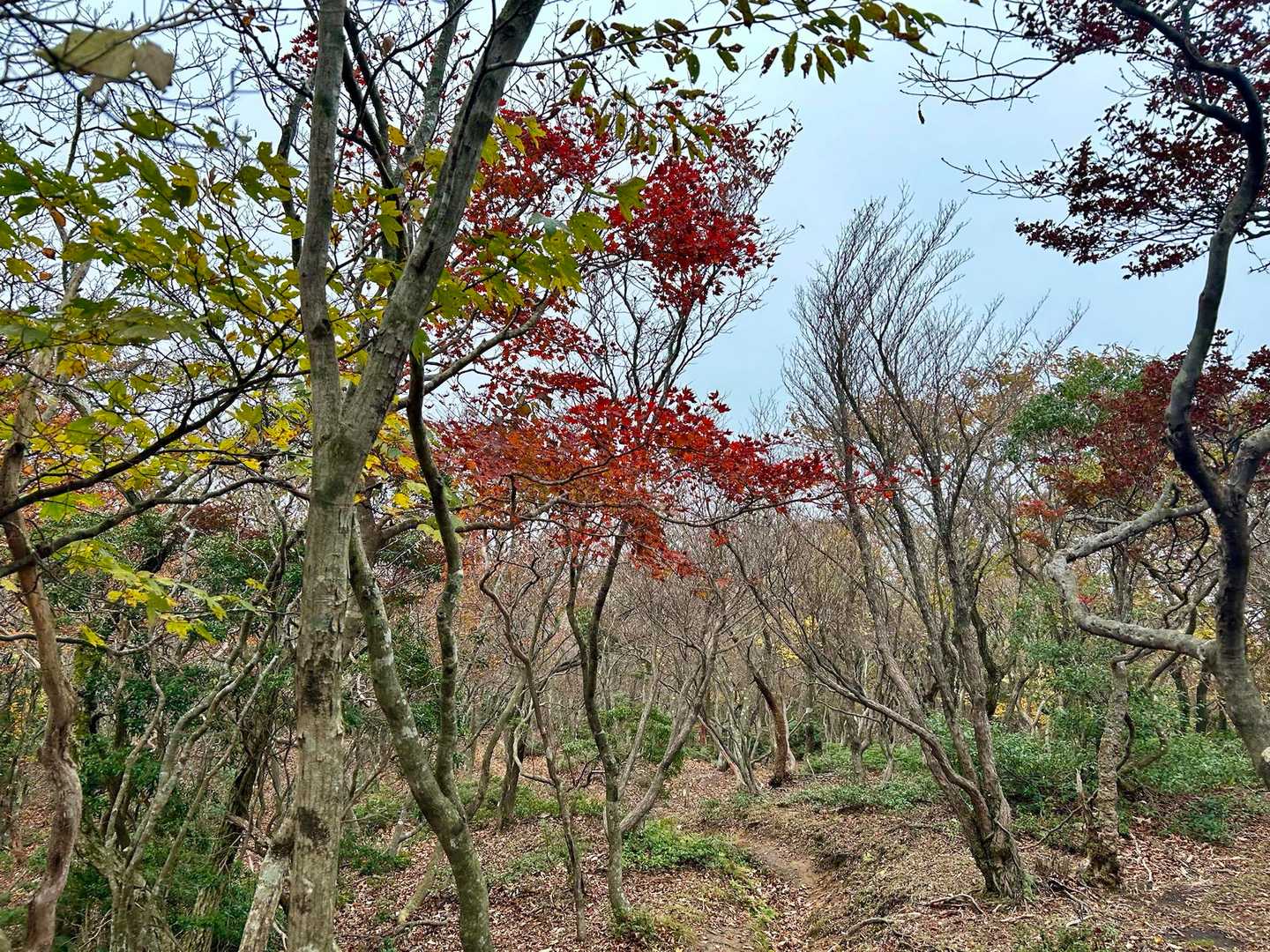 奥の鈴鹿の雰囲気