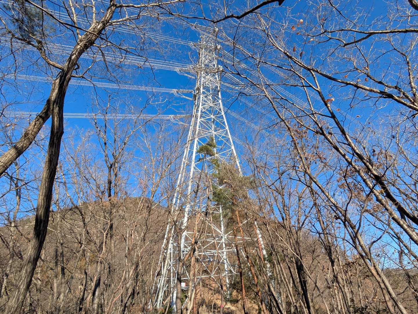 鉄塔を通過したら…