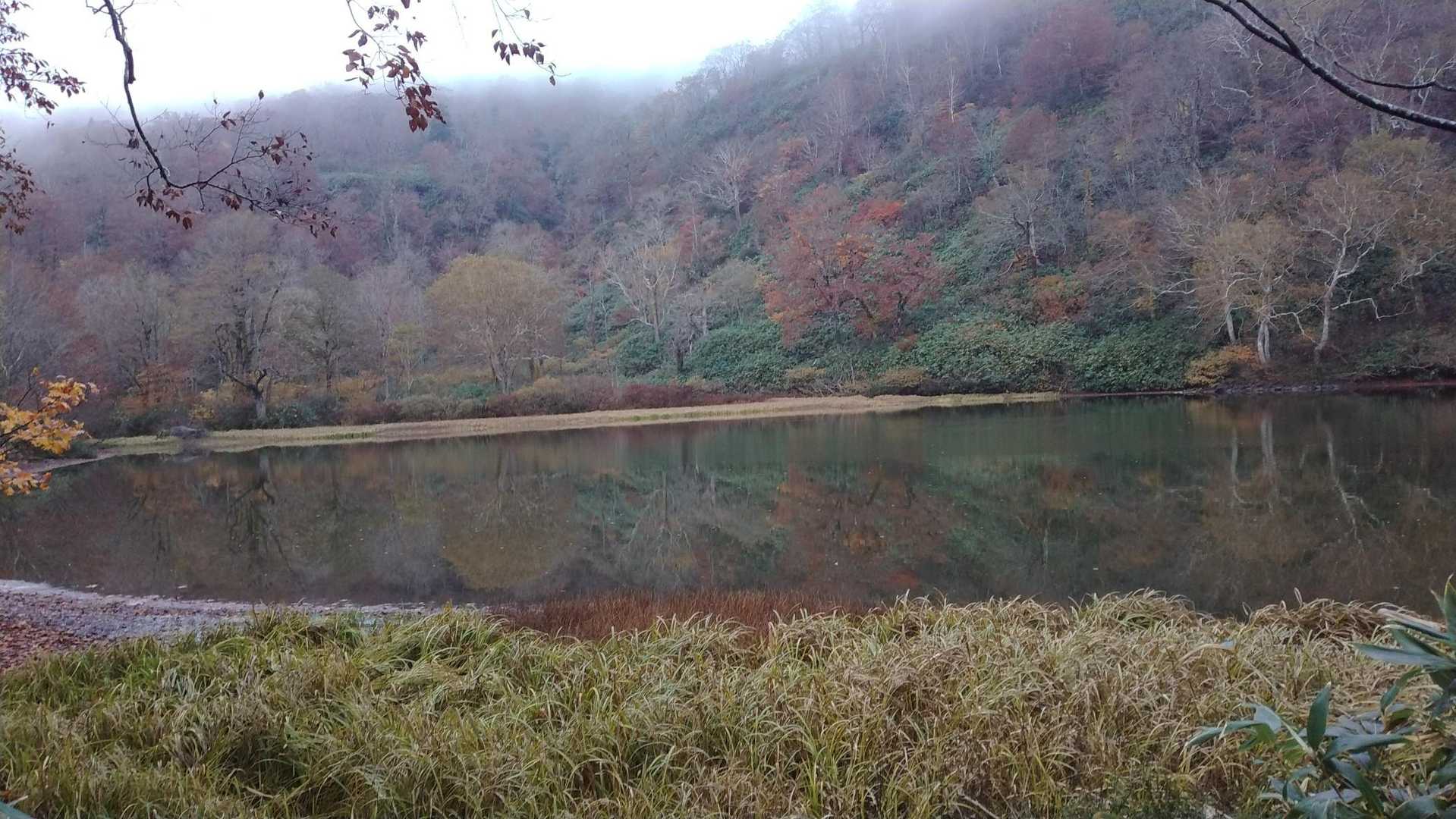 白沼。
モリアオガエルの繁殖地らしいです。