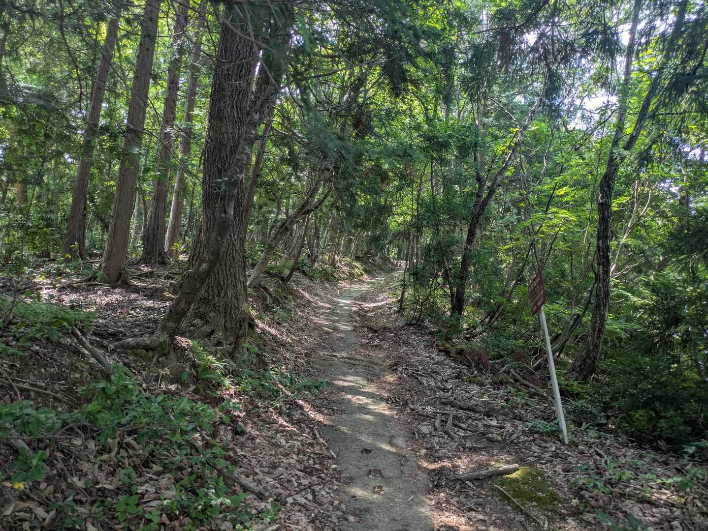賤ヶ岳 往復コースの写真