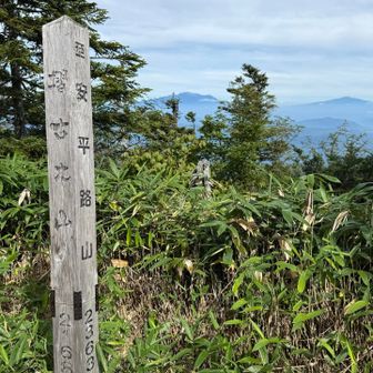 摺古木山🚩スリコギ山
展望💯😍