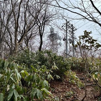 ようやく電波塔が見えてきた