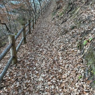 ここよりまだまだ縦走します