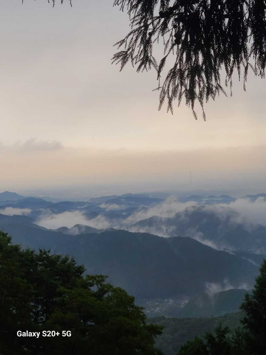 滝本駅-御嶽神社-御岳山 往復コースの写真