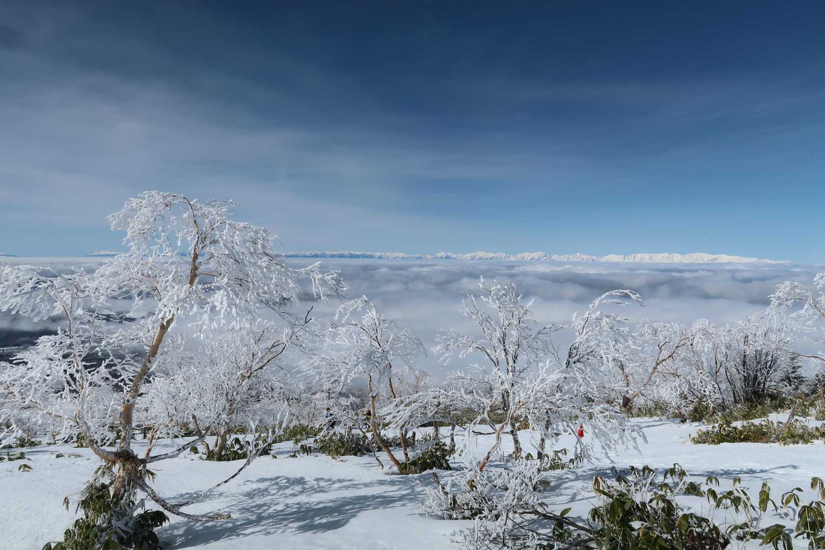 美しい