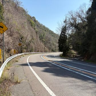 この道路渡った