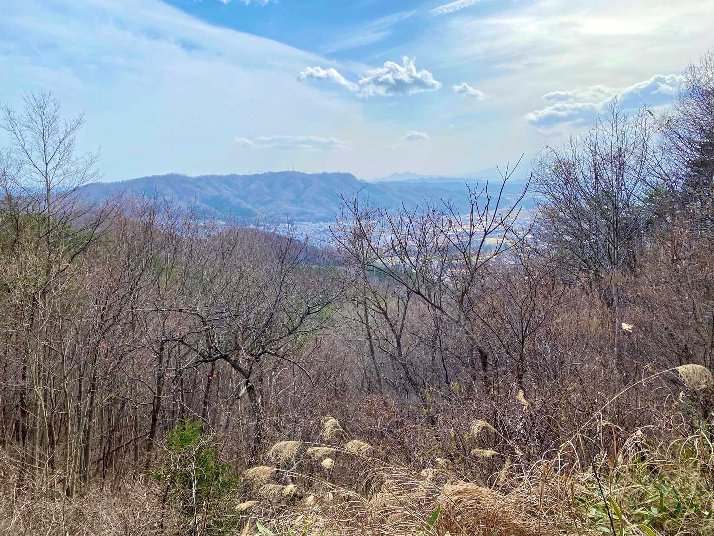 権現森北峰-権現森南峰 往復コースの写真