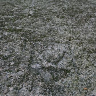 甲山周辺の石材採掘・運搬を請け負った佐賀鍋島藩の刻印

外様大名の鍋島藩は、大坂城までの石材搬出・運搬が大変な甲山の石丁場を割り当てられていたとのこと。ということは、甲山はハズレの石丁場だったってことか...