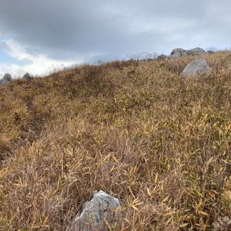 そして烏帽子岳へ
急な上りで道をロスト
ススキをかき分け進み、ルート復帰