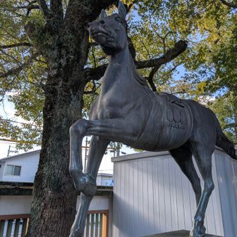 離宮八幡宮。
馬🐴！！