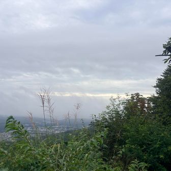 見晴らし台から仙台の街
いつも見えてるなだらかなシルエットを
西風蕃山の鉄塔に向かってまっすぐ
登っている気がしていたけれど…