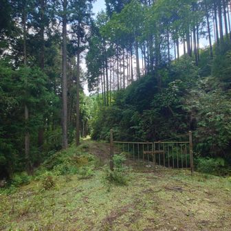 此処で周回コースと合流。