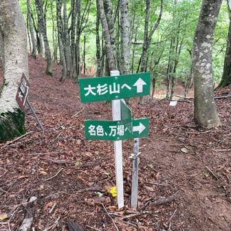 万場へ下ります