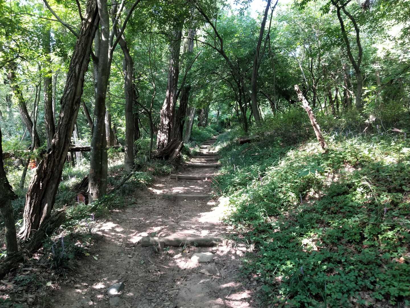 遊歩道(1)
