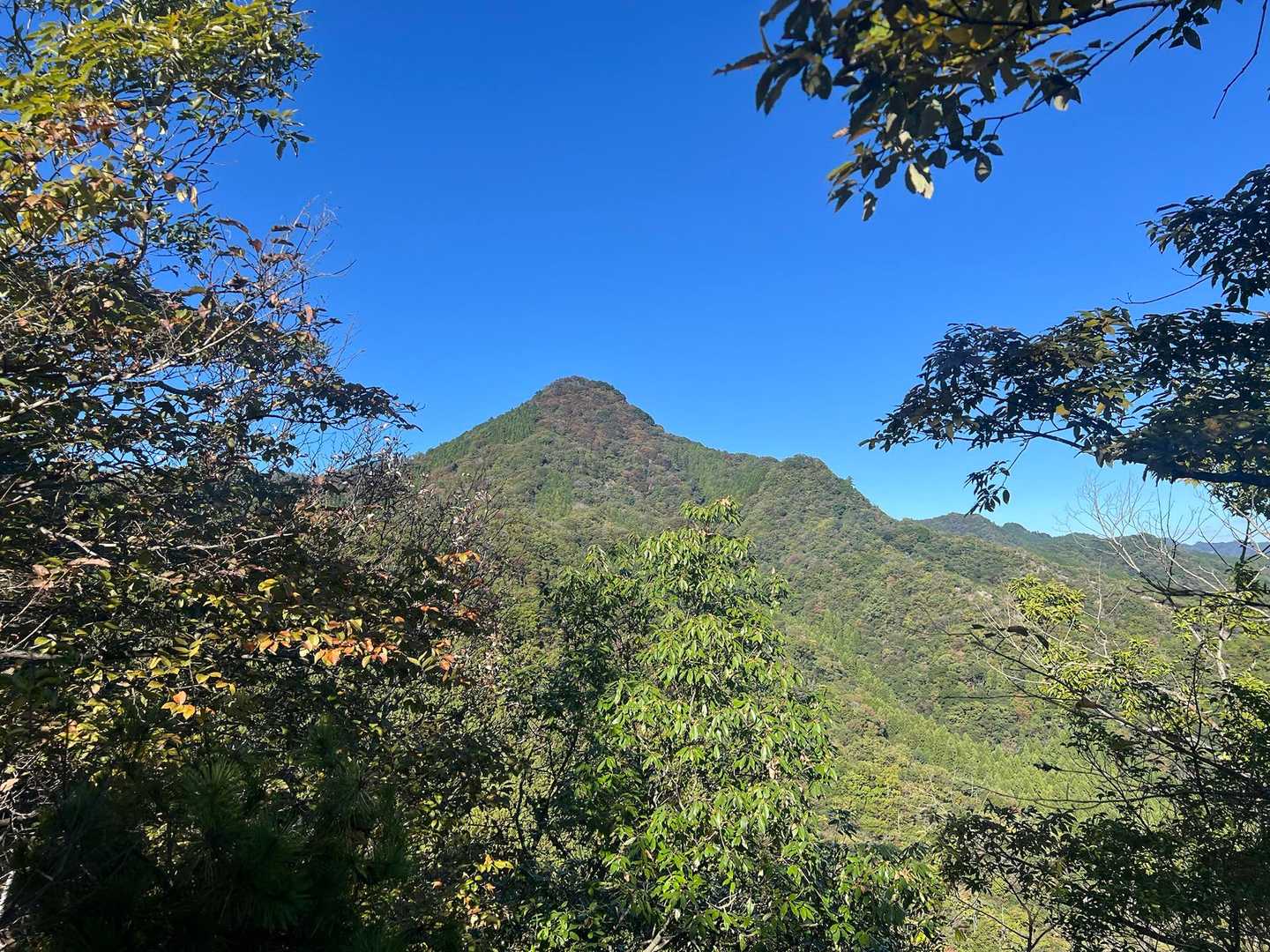 地蔵岳-明神山-大熊の頭-西の丸 周回コースの写真