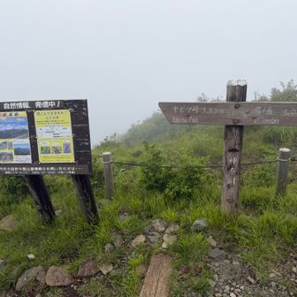 三ノ塔ガスって景色なし😑