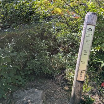 ここも懐かしい　以前北経ヶ岳から縦走してきて合流した場所だが、かろうじて踏み跡はあったが今はここから見る限りヤ
ブに戻っているような？もう一回歩こうとは思わないコースだが