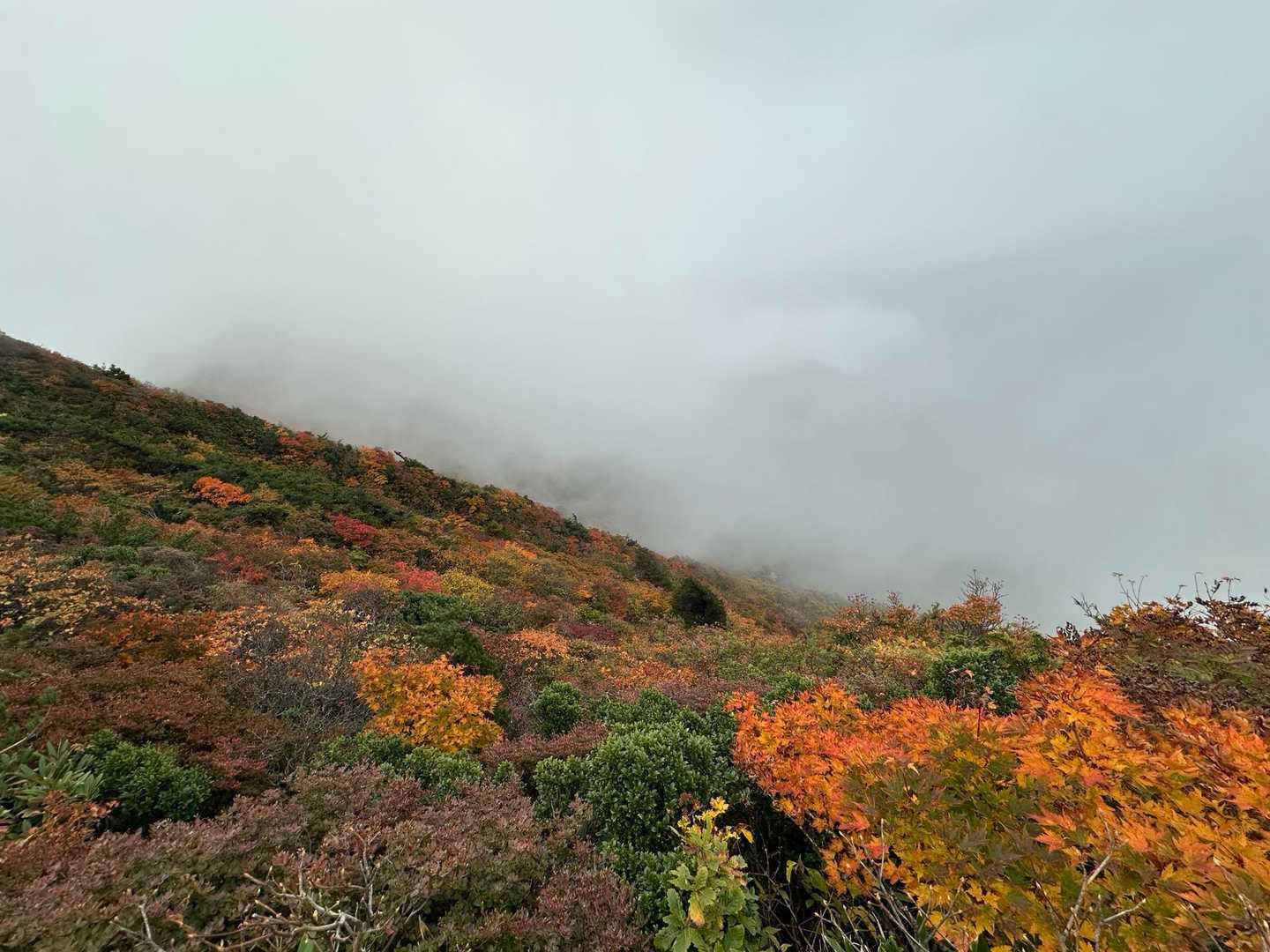 雁戸山 往復コースの写真