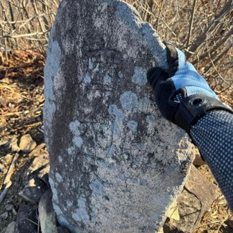 コレが頂上だと思ったら違ってた