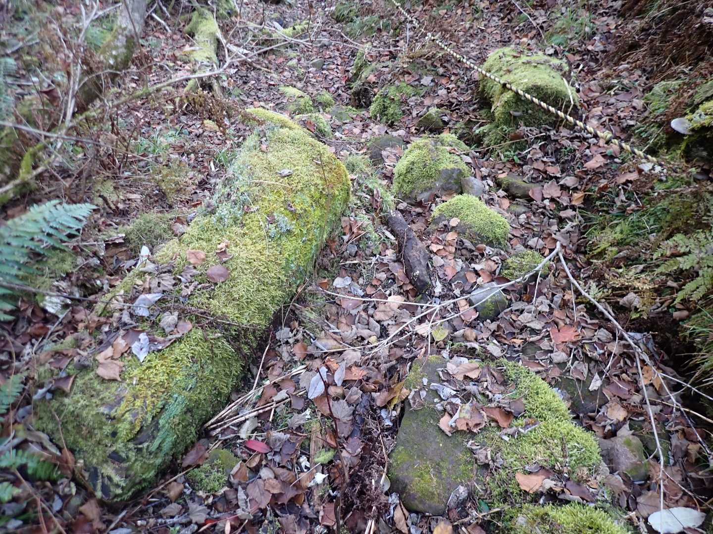 私は好きだな🎵北陵岳