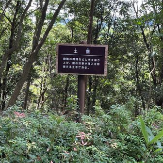 載せる