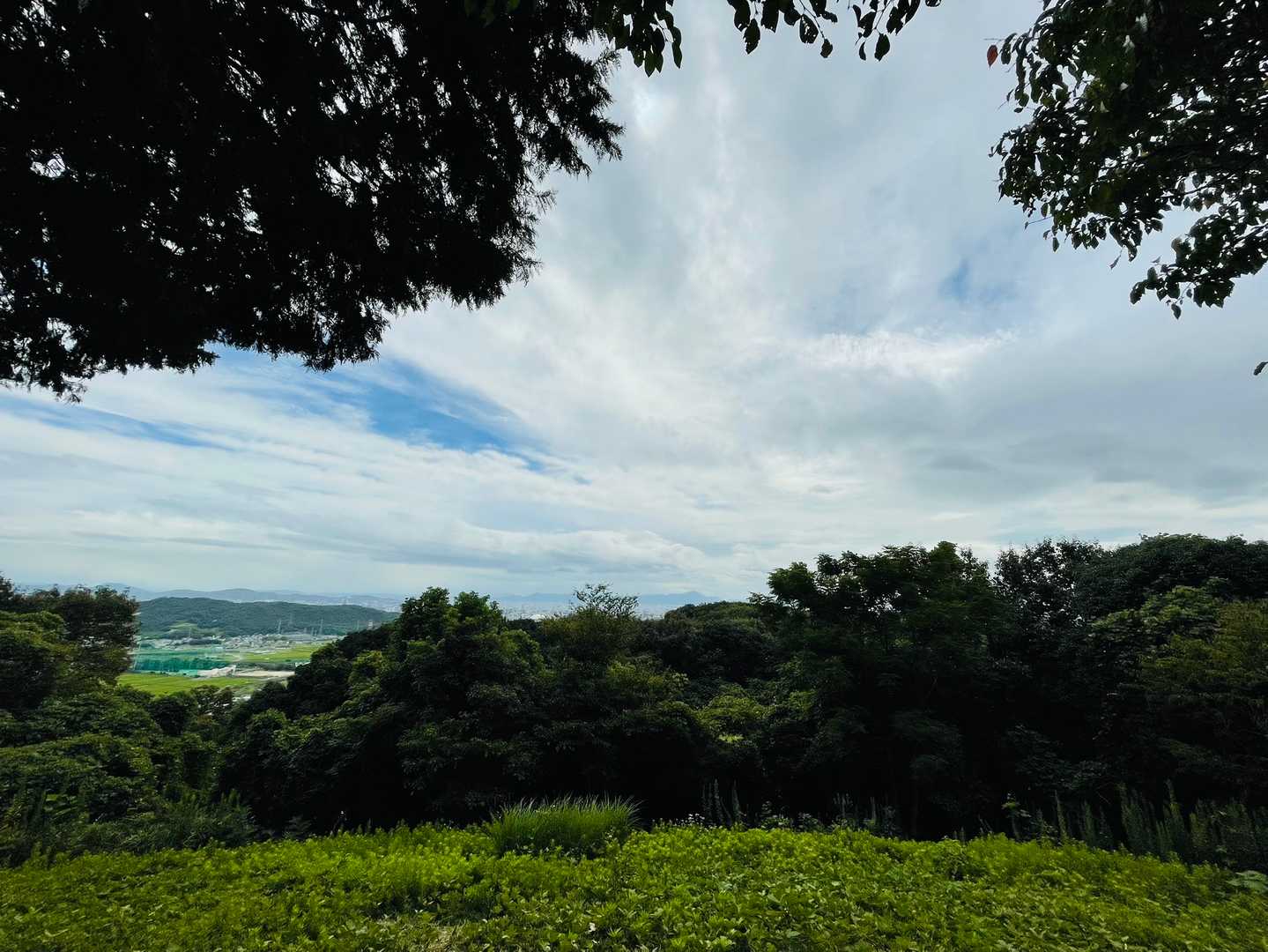 龍王山