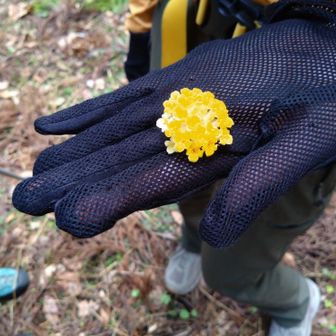 原型のまま地面に落ちていたので拾うメンバー。　　
