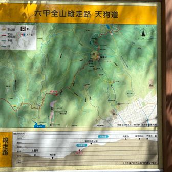 位置確認