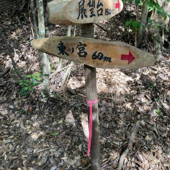 東ノ宮ｲｸ︎💕︎