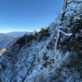 樹氷に彩られた『恵那山』 / ゆうたさんの恵那山・大判山・神坂山の