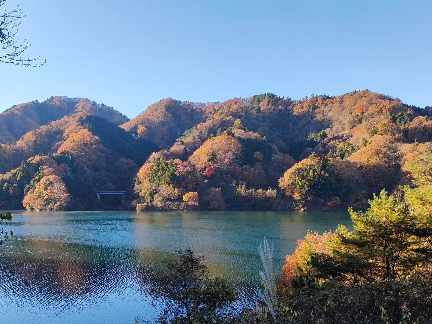 仏果山登山口バス停-宮ヶ瀬越-仏果山-高取山 往復コースの写真