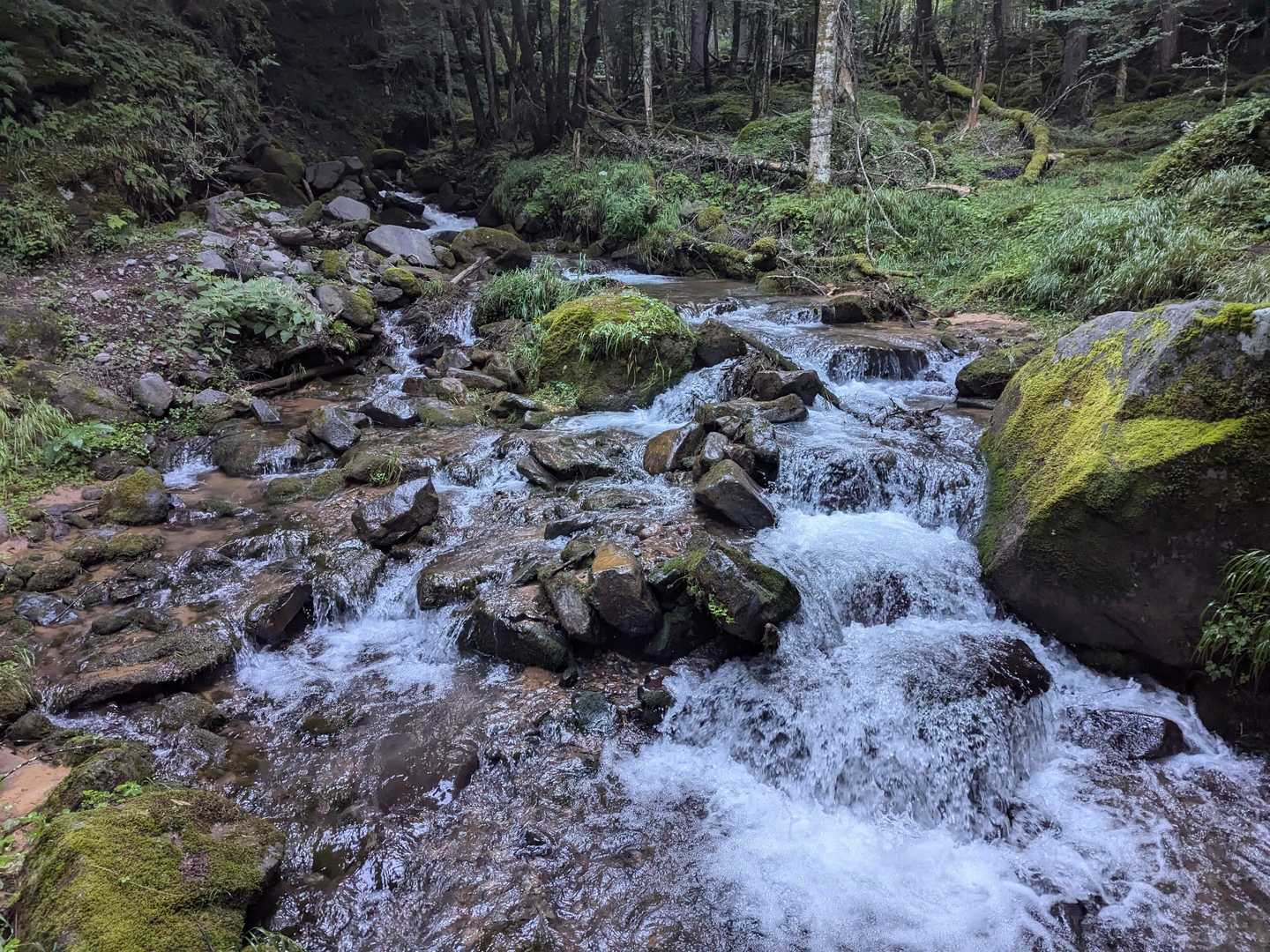 南沢-赤岳-地蔵ノ頭 周回コースの写真