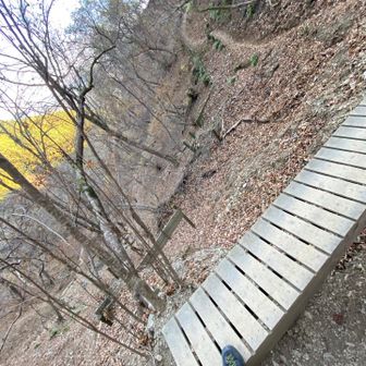 山道が寸断されていて迂回ルートの橋が…有難いです🙏