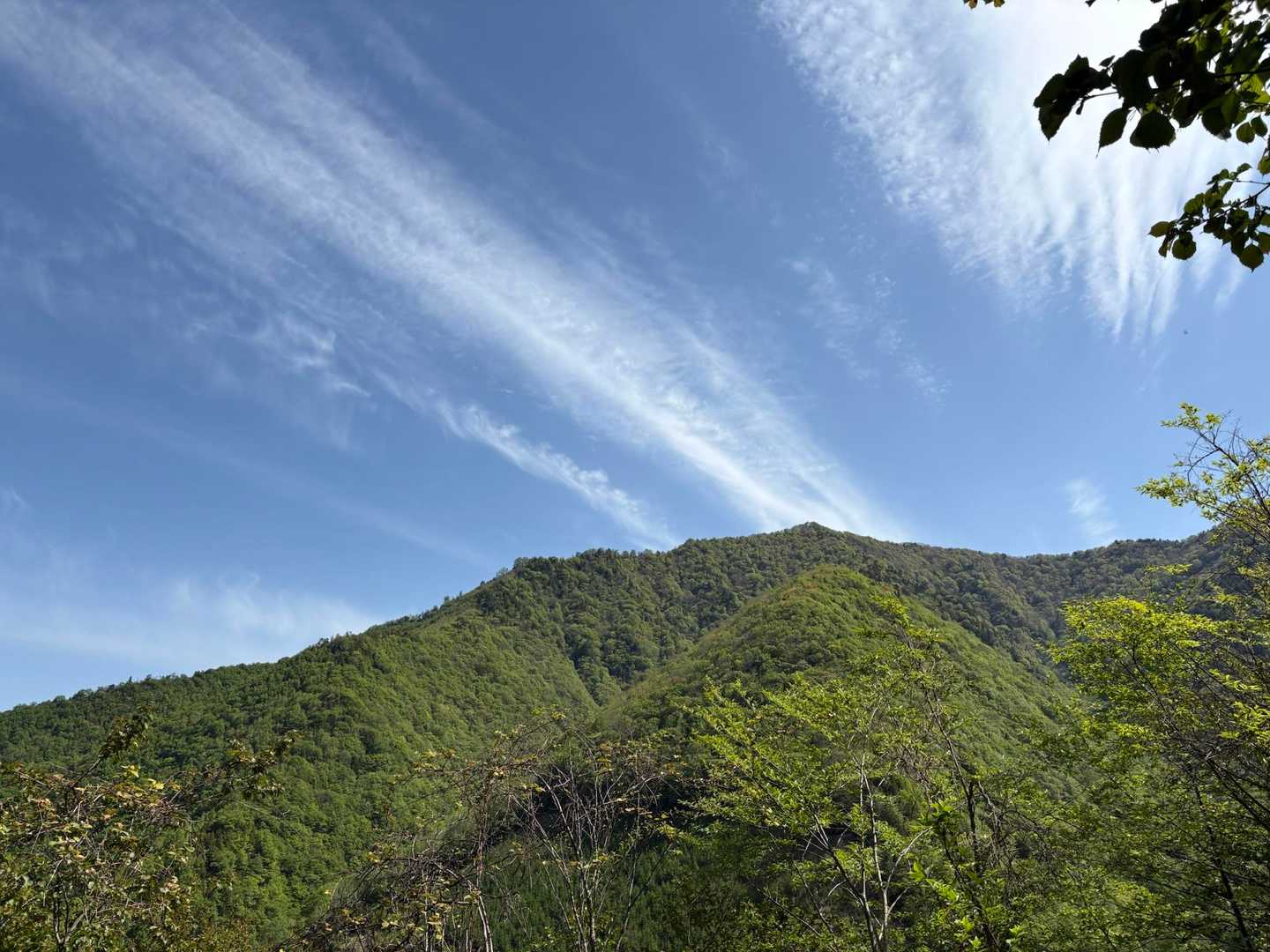 空も青い