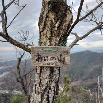 あいの山、LOVE、足元にはサンゴの飾りがあった