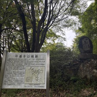 🏯跡