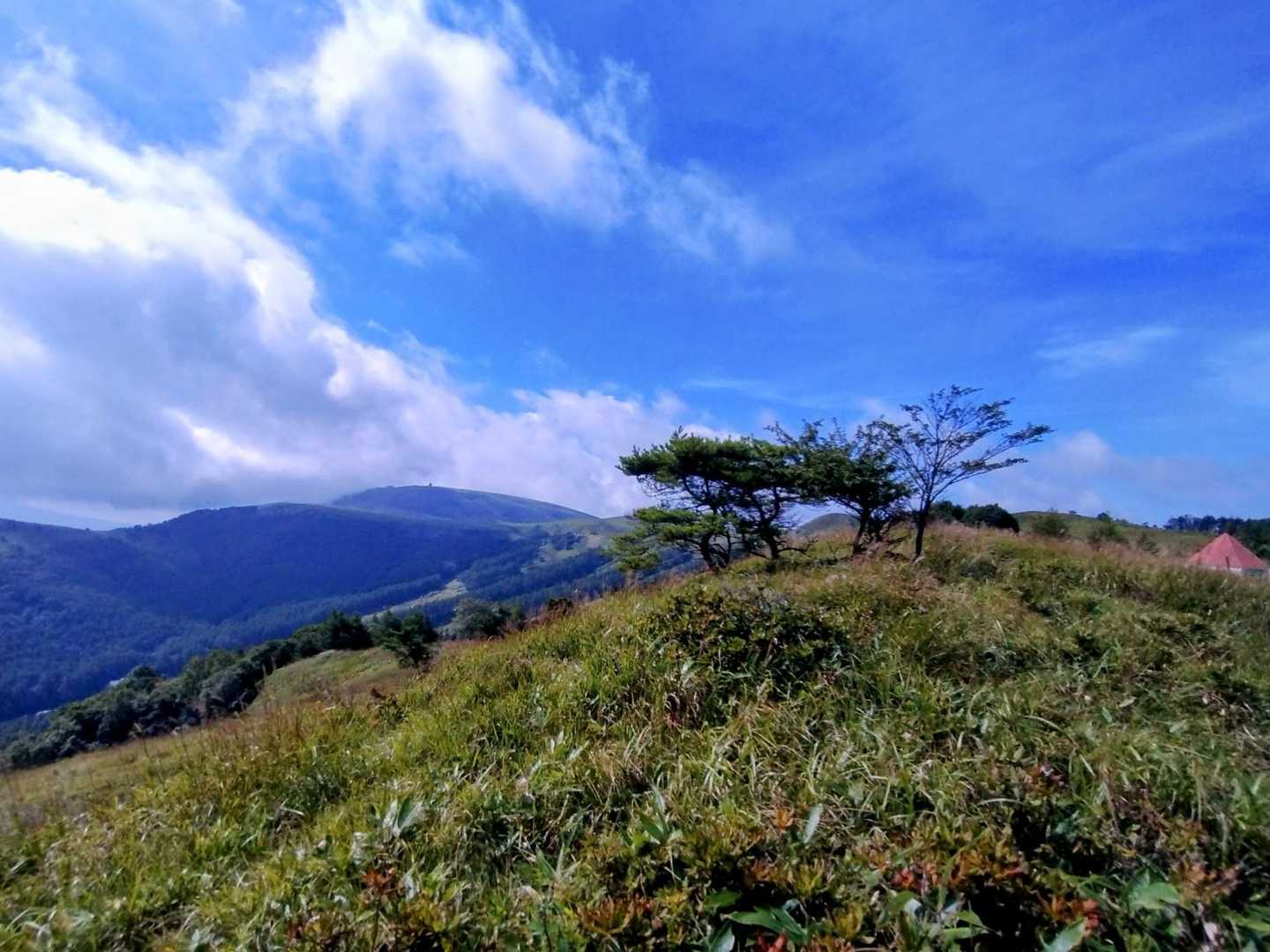大笹峰手前、雲間から車山もこんにちは😃