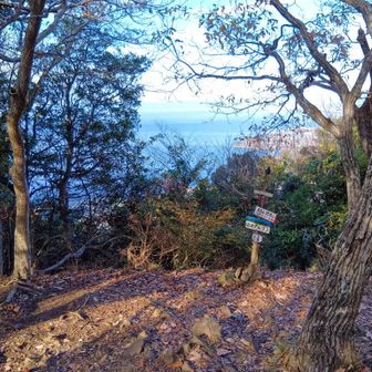 (34)第５の小鷲頭山山頂330m踏破👣ここまで２時間弱…急登に削られいよいよスタミナ切れも有るが「縦走すんだろ!?通過点じゃねーかよ！(桜木花道.調)」でスポドリがぶ飲みして直ぐ出発🏀
※通過点が物理なの草