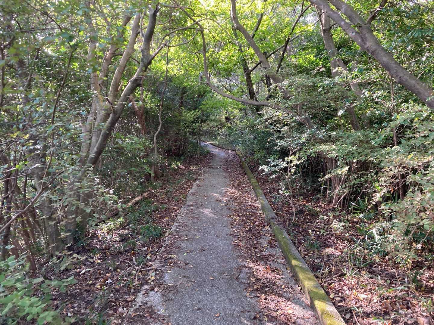 コンクリート道