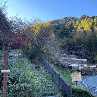 すぐに蔦の細道から登ります