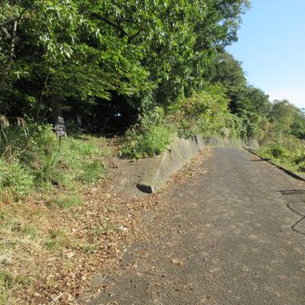 八国見山や震生湖は右の車道を進む
