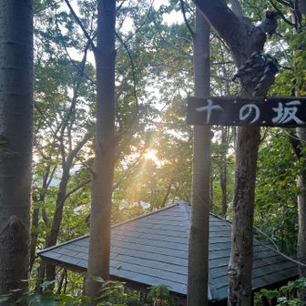 そうだ、
今日は広島の小学生は登校日
平和を祈る日です🙏