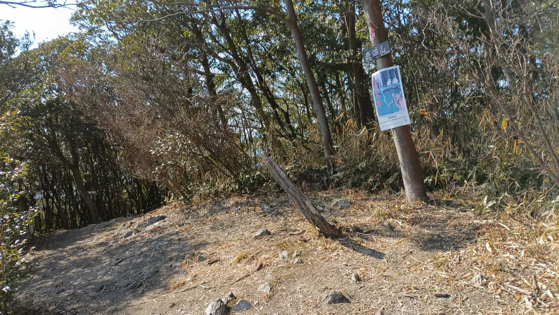 スカイ１号入口から奥畑山まで２０分ちょい、ほぼベストタイムに近いペースで登れました🙆
運動に必要なアミノ酸等が含まれているゼリー飲料の効果なのかなぁ🙄