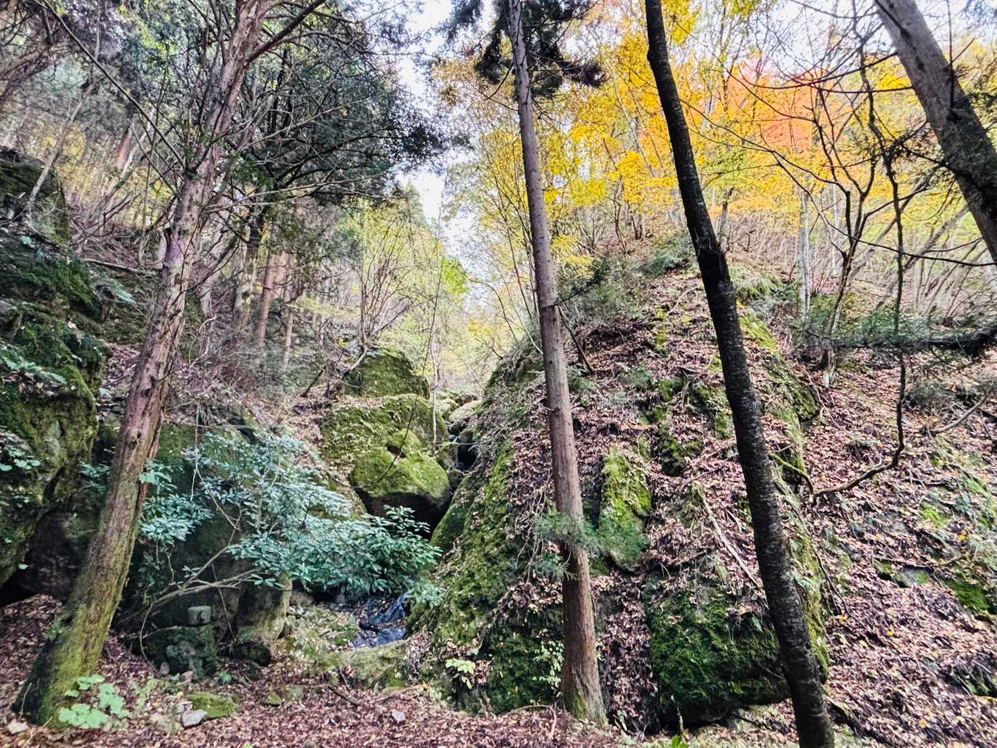 巨岩があちこちに。