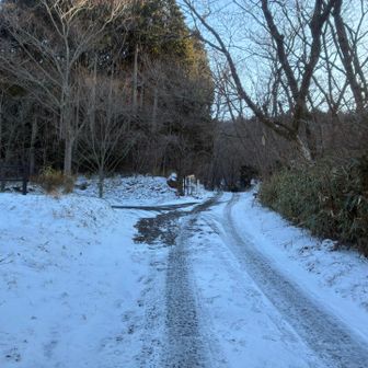 駐車場から上は寒波の影響でバリバリ
赤川登山口までは基本的に大丈夫
部分的に凍ってるところあるので要注意