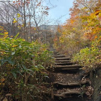 紅葉の階段
