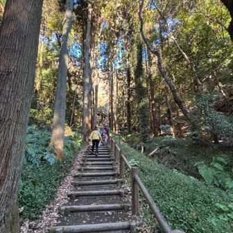 まずは伏姫籠穴を見に行きます✊
静かで雰囲気が素敵です🌳