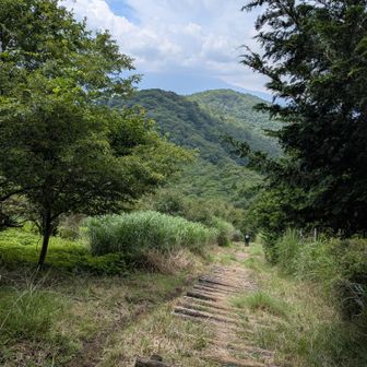 登りながら後ろを見た景色💕😍