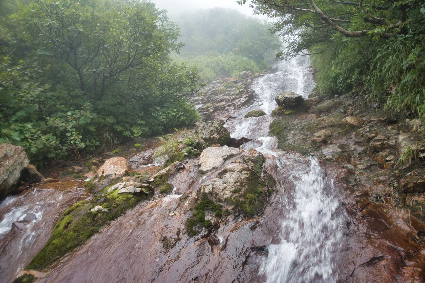 直登は難しそうだったので、安全をとって沢横を選びました🚶‍➡️